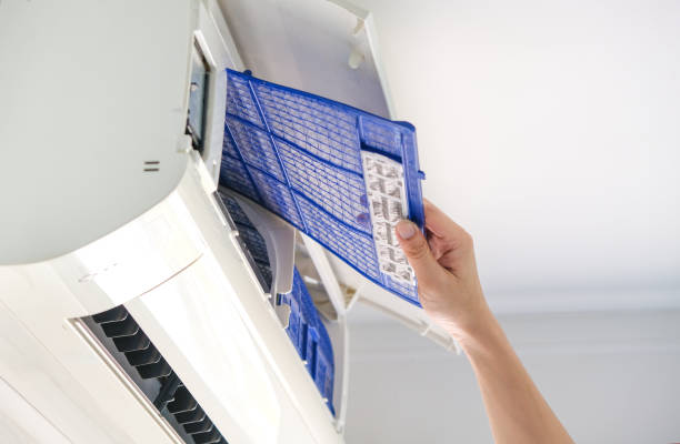 Best Ductwork Cleaning Services  in West Park, FL